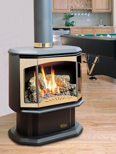 Gas Stoves & Gas Stove Installation WI