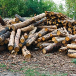 High quality woods in burlington wi