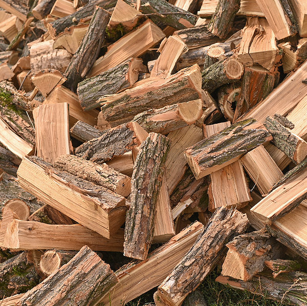 Seasoned Firewood, Walworth WI